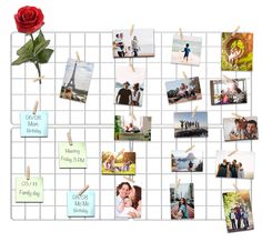 a collage of photos with clothes pins attached to them and a rose on the wall