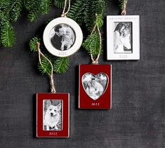 three christmas ornaments hanging from a tree with two pictures and a dog in the center