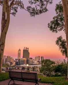 a park bench sitting on top of a grass covered field next to trees and tall buildings