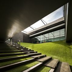 the stairs are made out of concrete and grass