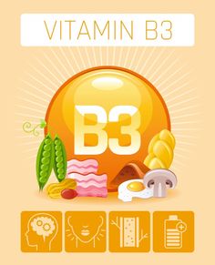 Nicotinic acid vitamin b3 rich food icon... | Premium Vector #Freepik #vector #food #menu #design #fish Diet Infographic, Bacon Peas, Pharmacy Art, Vitamin B3 Niacin, Release Energy, Biotin Supplement, Forever Living Aloe Vera, Foods For Healthy Skin