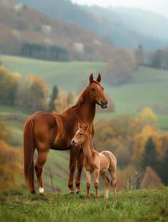 two brown horses standing next to each other on a lush green field with trees in the background