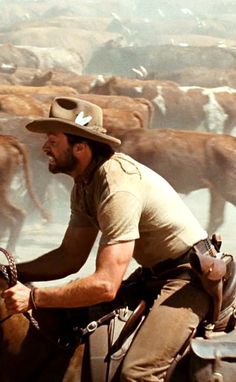 a man riding on the back of a horse in front of a herd of cattle