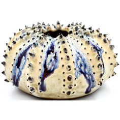 The  Milk & Purple Sea Urchin Vase by Art Floral Trading Sea Urchin Air Plant, Sea Urchin Ceramic, Sea Urchin Air Plant Jellyfish, Uni Sea Urchin, Purple Sea Urchin, Iron Bowl, Sea Urchin, Accent Pieces, Ceramic Art