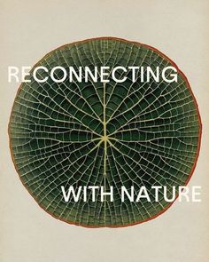 a book cover with an image of a leaf in the center and text that reads, reconecting with nature