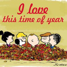 a group of peanuts sitting in the middle of a pile of leaves that says, i love this time of year