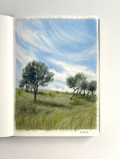 an open book with a drawing of trees in the grass and blue sky behind it