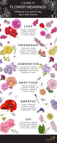 a poster with flowers and the words flower meaningss written in different languages on it