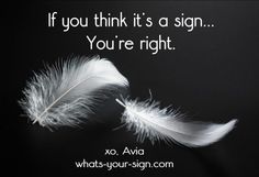 two white feathers with the words if you think it's a sign, you're right