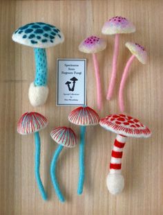 there are many different types of mushrooms on display