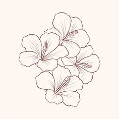 three white flowers on a pink background