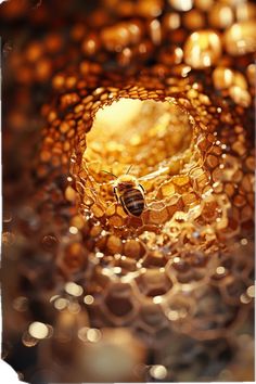 a honeycomb with a bee in it and some water droplets on the ground below