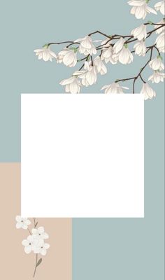 a branch with white flowers on it and a blank paper in the middle, against a pastel blue background