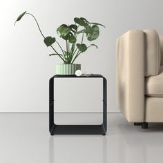 a couch and table with a potted plant on it in front of a white wall