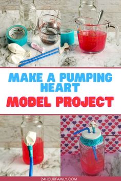 make a pumping heart model project for valentine's day or mother's day