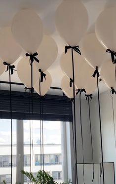 white balloons with black bows are hanging from the ceiling in front of a large window