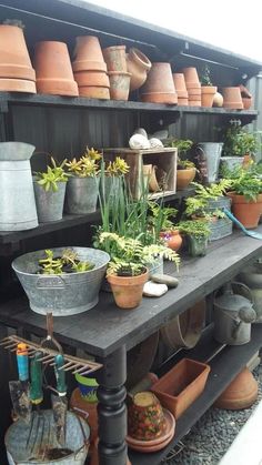 many pots and pans are lined up on a shelf outside in the garden area