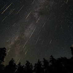 the night sky is filled with stars and many trees are silhouetted against it's dark background