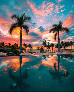 palm trees are reflected in the pool at sunset