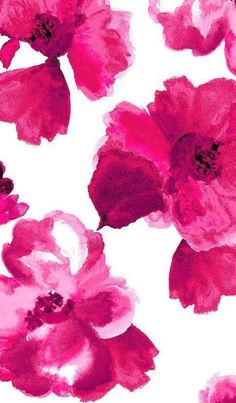 pink flowers on white background with watercolor effect