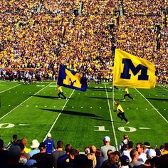 a football stadium filled with lots of people and two michigan wolverines flags on the field