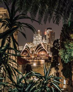 the city skyline is lit up at night as seen from across the river in sydney, australia