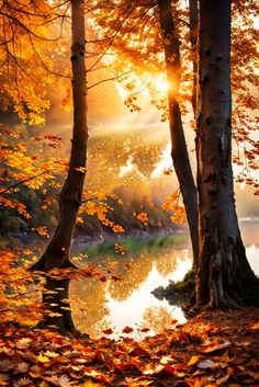 the sun shines through the trees and leaves on the ground in front of a body of water