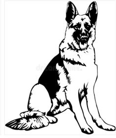 a black and white german shepherd dog sitting down