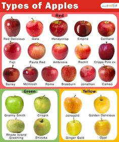 an apple chart with different types of apples