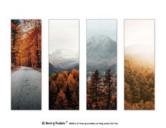 three verticals with trees and mountains in the background, each showing different types of fall foliage