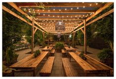 an outdoor dining area with wooden benches and lights hanging from the ceiling over it, surrounded by greenery