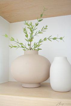 two white vases sitting on top of a wooden shelf next to each other with a plant in them