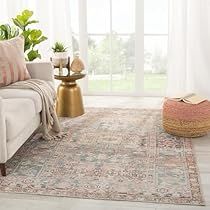 a living room with a couch, rug and potted plants on the side table