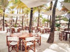 an outdoor dining area with tables, chairs and umbrellas in the shade under palm trees