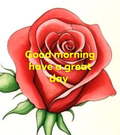 a drawing of a rose with the words good morning have a great day on it