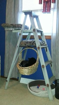 a cat sleeping in a basket on top of a wooden ladder next to a window