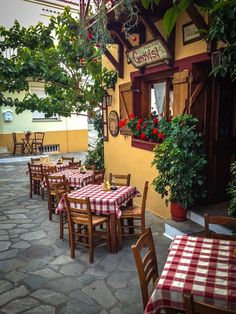 an outdoor restaurant with tables and chairs covered in checkered tablecloths next to potted plants