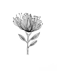 a black and white drawing of a flower