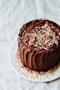 a chocolate cake sitting on top of a white plate