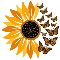 a sunflower with many butterflies around it