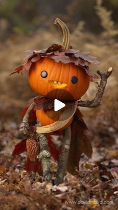 a stuffed pumpkin with leaves on it