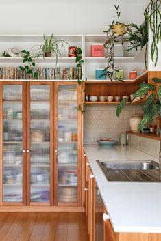 a kitchen filled with lots of green plants and wooden cabinets next to a white counter top