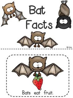 bat fact worksheet for kids to practice reading and writing with the text bats eat fruit