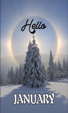 the words hello january in front of a snowy landscape with trees and sun flares