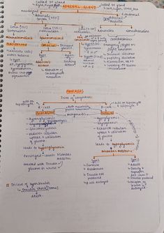 a handwritten diagram on top of a notebook with orange and blue writing in it