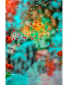 red roses are falling from the sky in front of a blurry background with colorful lights