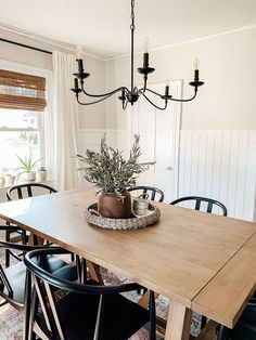 a dining room table with chairs and a potted plant