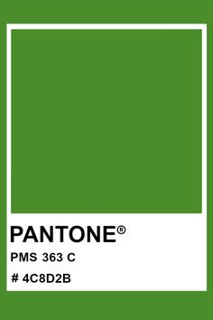 Autumn Pantone, Pantone Green Shades, Palette Autumn, Pantone Green, Pantone Matching System, Pantone Color Chart, Pantone Swatches, Story Background, Pantone Palette