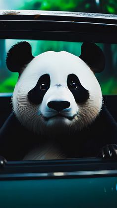 a panda bear sitting in the back seat of a car