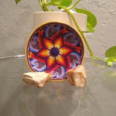 a plate with rocks on it sitting next to a potted plant in the corner